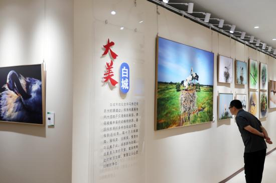 第十四届中国艺术节全国优秀摄影作品展览吸引观众